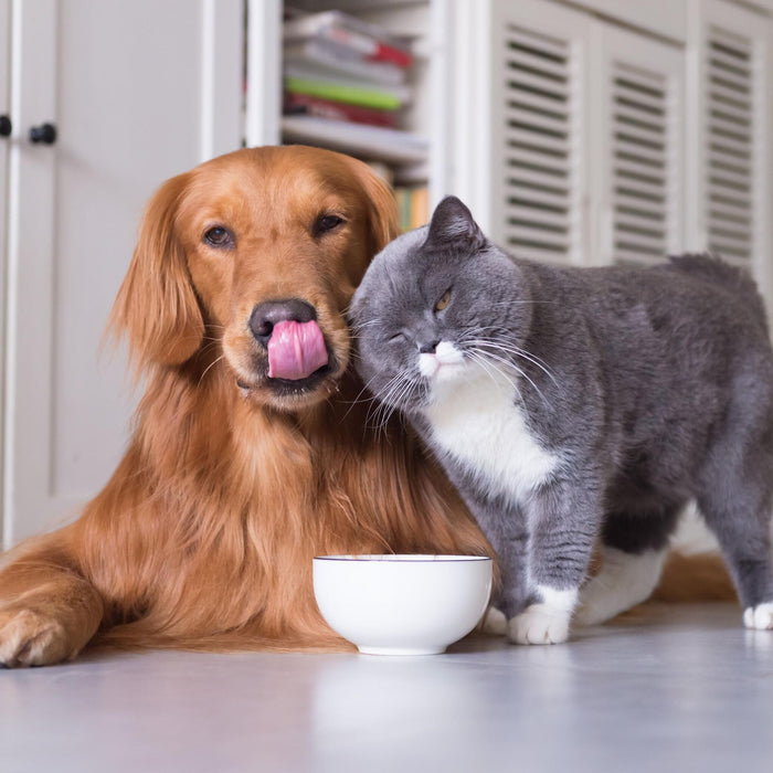 PETS